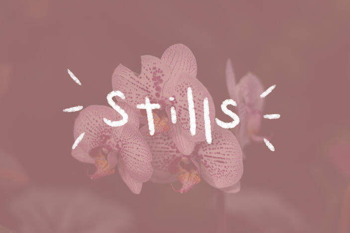 stills